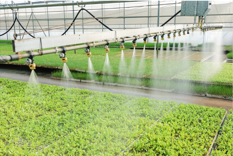The importance of polyvinylpyrrolidone pvp in modern agriculture