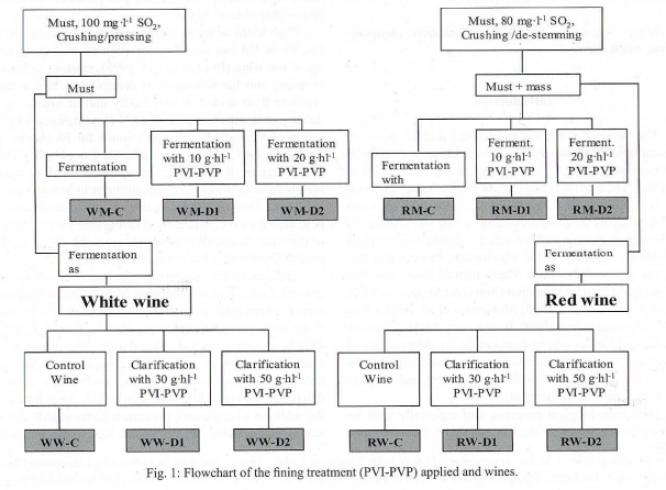 Fig. 1: Flowchart of the fining treatment (PVI-PVP) applied and wines.